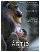 Contentconcepten- tijdschrift Artis
